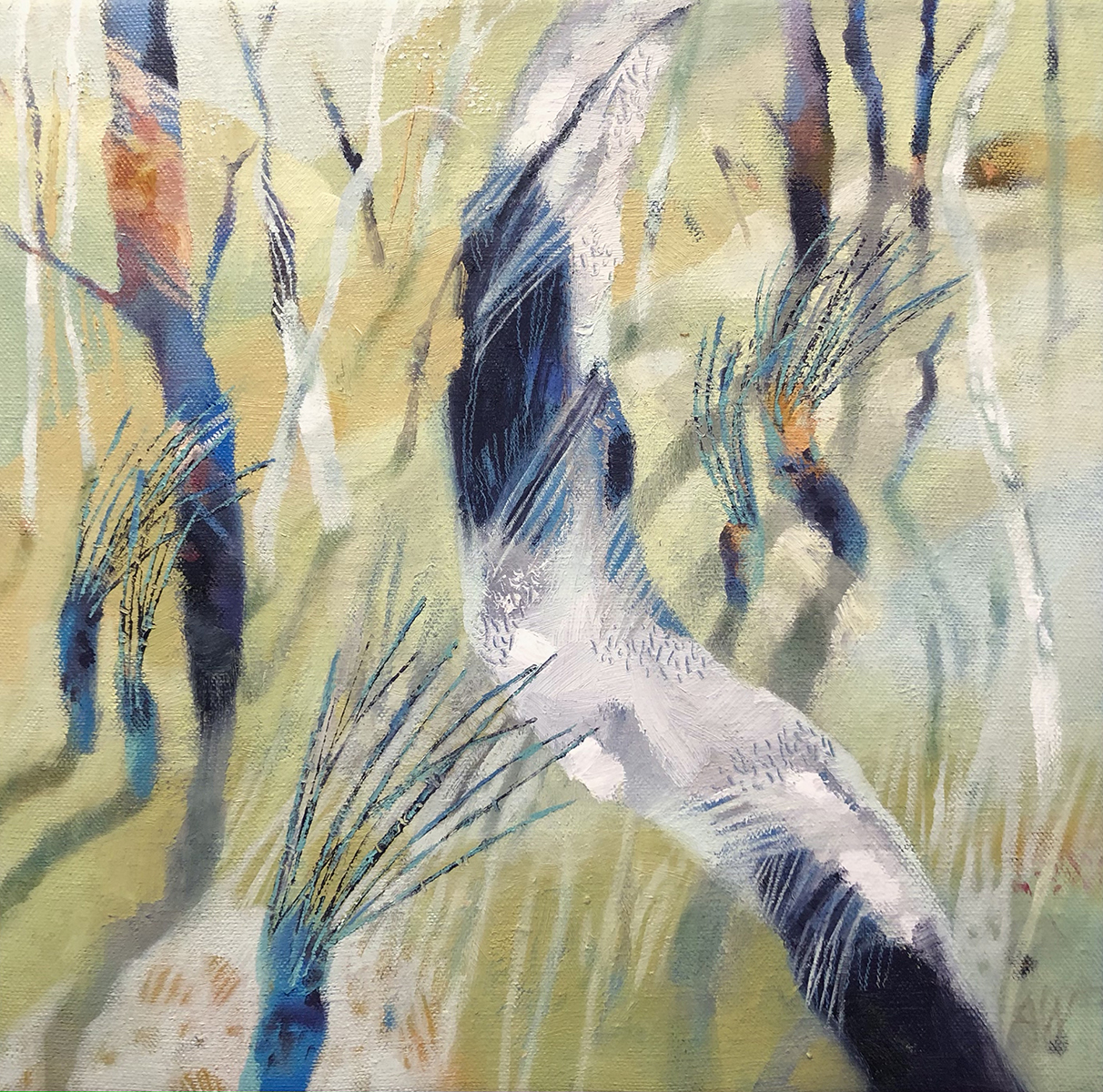 Blue burn recovery Carnarvon Gorge 2021 | Adrienne Williams | Oil on canvas | 30 x 30 cm | SOLD