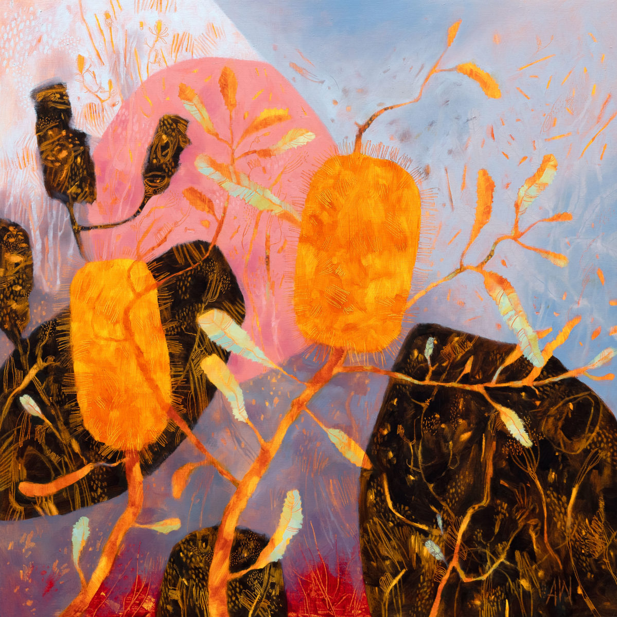 Banksia Dust after Fire 2023 | Adrienne Williams | oil on board | 70 x 70 cm | $2150