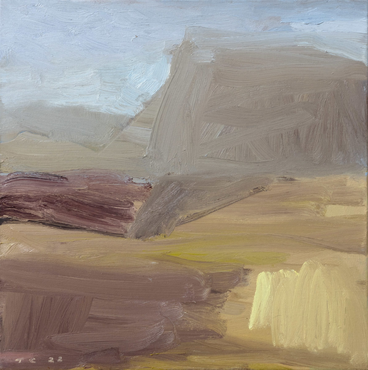 Kilkivan Landscape 2022 | Tony Coles | oil on canvas | 46 x 46 cm | $1500