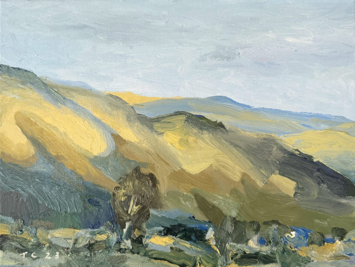 Sunlit Ridge | Tony Coles | Oil on canvas | 30 x 40 cm, framed in oak | SOLD