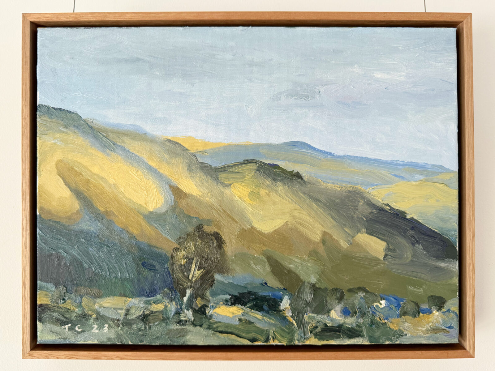 Sunlit Ridge | Tony Coles | oil on canvas | 30 x 40 cm, framed in oak | $1,450