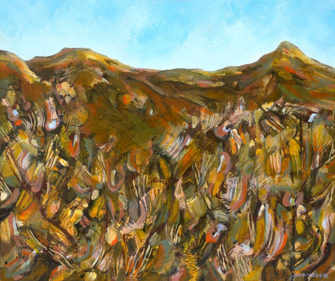 Wildflower Country I | Lisa Chandler | acrylic on canvas | 50.5 x 61 cm | $1,250