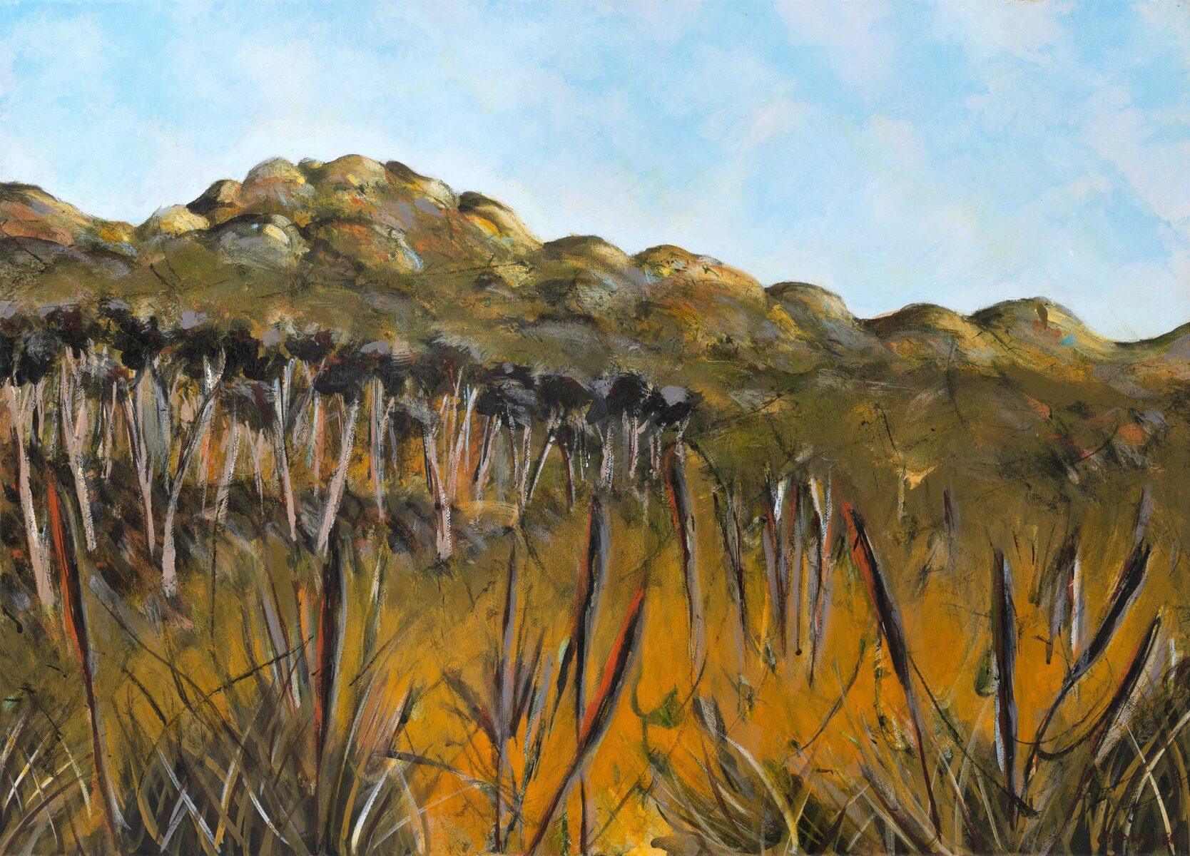 Emu Mountain Morning Light | Lisa Chandler | acrylic on canvas | 51 x 71 cm | $1,250