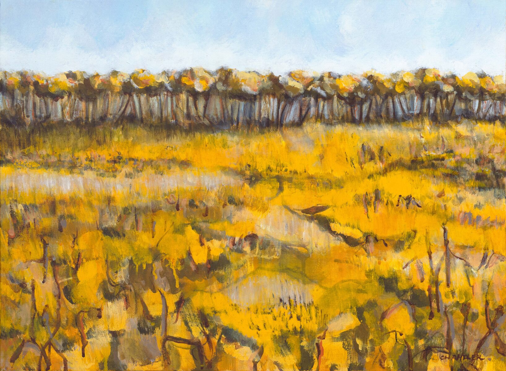 Yellow Wallum 2023 | Lisa Chandler | acrylic on canvas | 45 x 61 cm | $1,250