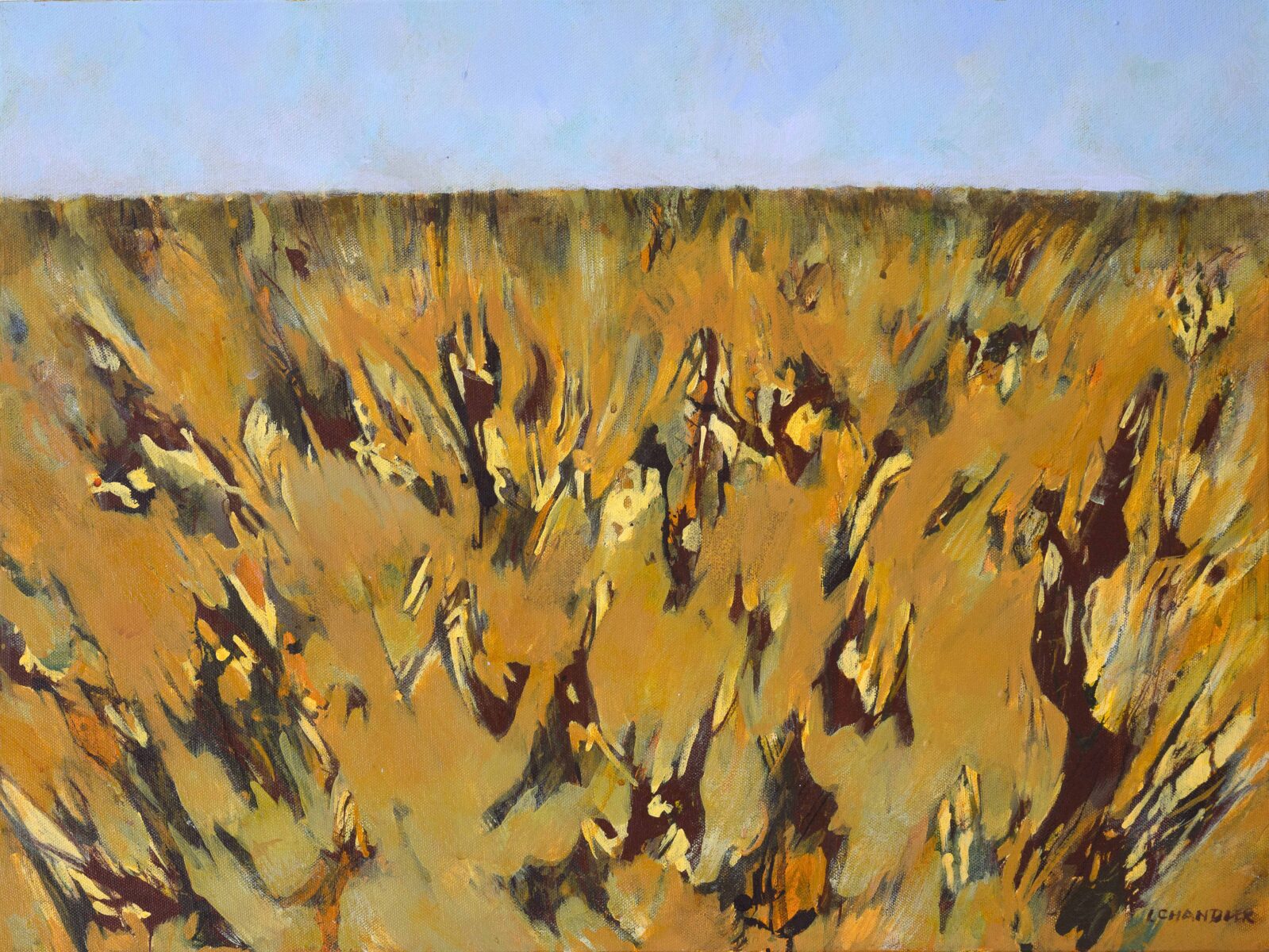 Wallum Song II | Lisa Chandler | acrylic on canvas | 46 x 61 cm | $1,250