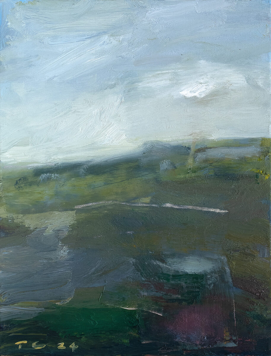 Wallum Landscape 2024 | Tony Coles | Oil on canvas | 40 x 30 cm | SOLD