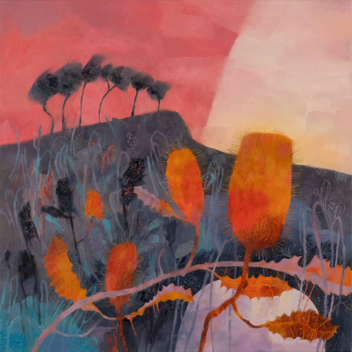 Wallum wandering | Adrienne Williams | oil on board | 60 x 60 cm | SOLD