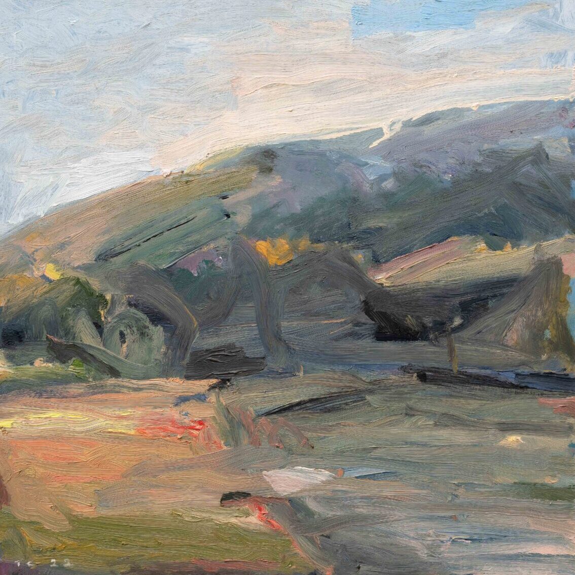 Hill in a Wallum Landscape | Tony Coles | Oil on board | 63.5 x 63.5 cm, framed | SOLD