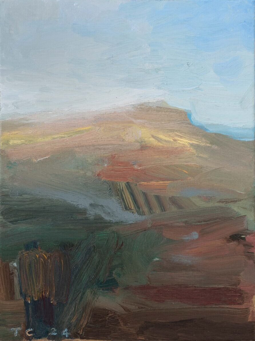 Ninderry with Smoke Drift | Tony Coles | Oil on canvas | 43.5 x 33.5 cm, framed in oak | $1,400