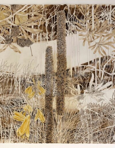‘Meet the Bells’ | Joolie Gibbs | Bunya, Gympie Messmate, Red Kamala, Eucalyptus on paper | 130 x 150 cm, framed