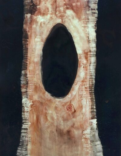 ‘Tree Being - III’ | Katie Harris-MacLeod | Cyanotype, Copper Oxide Ink and Bloodwood Tree Sap on 300gsm Watercolour Paper | 110 x 75 cm