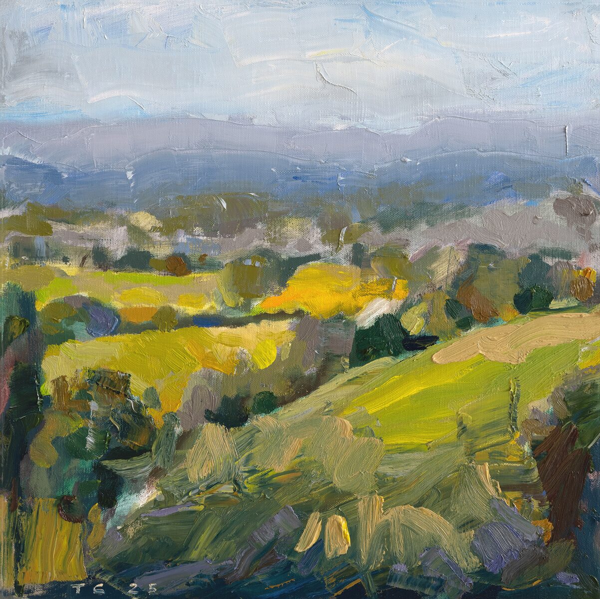 Valley Light | Tony Coles | oil on linen | 43.5 x 43.5 cm (framed) | $1,600