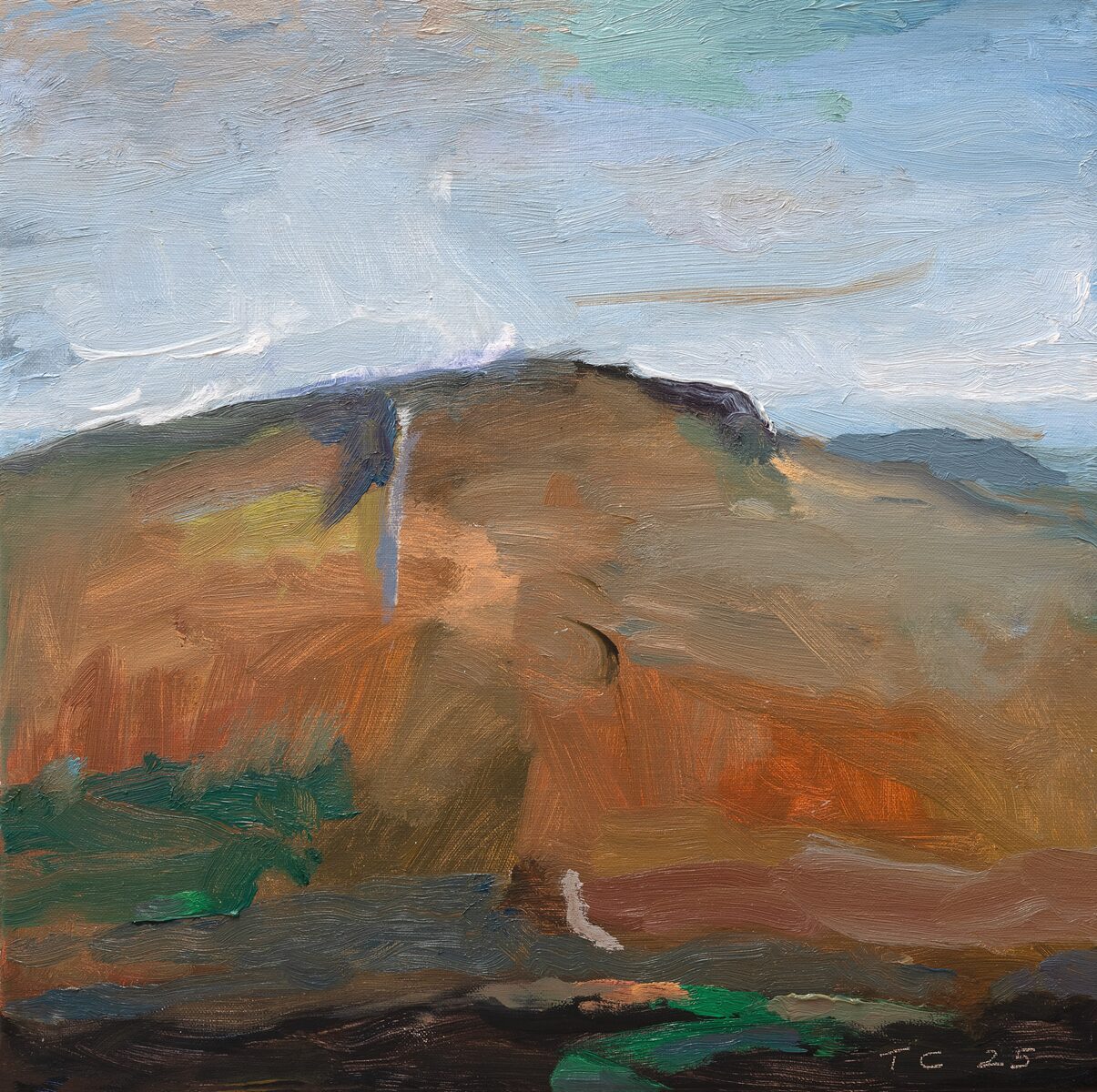 Hillside | Tony Coles | oil on linen over canvas | 43.5 x 43.5 cm (framed) | $1,600