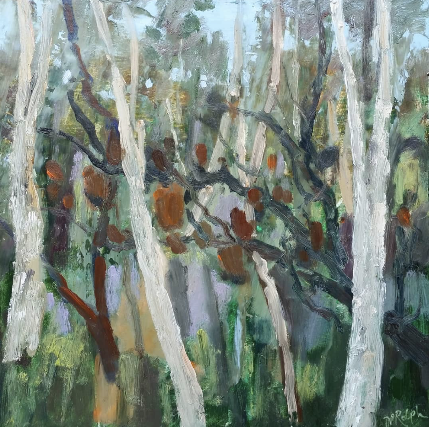 Banksia Bushland 2024 | Des Rolph | oil on board | 33 x 33 cm, framed | $1,300