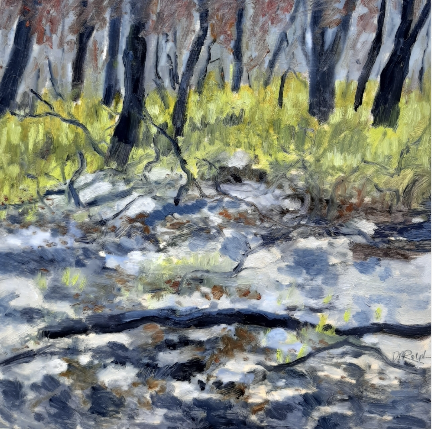 New Growth Peregian Beach 2025 | Des Rolph | oil on board | 33 x 33 cm, framed | $1,300