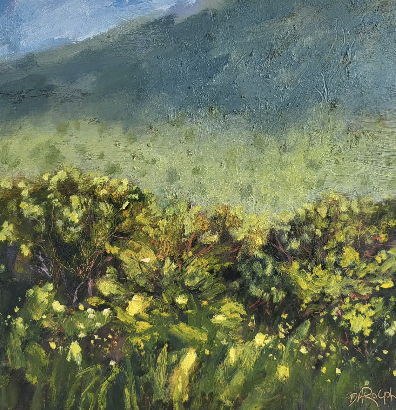 Wallum 1 2026 | Des Rolph | oil on canvas | 28 x 28 cm, framed | $1,200