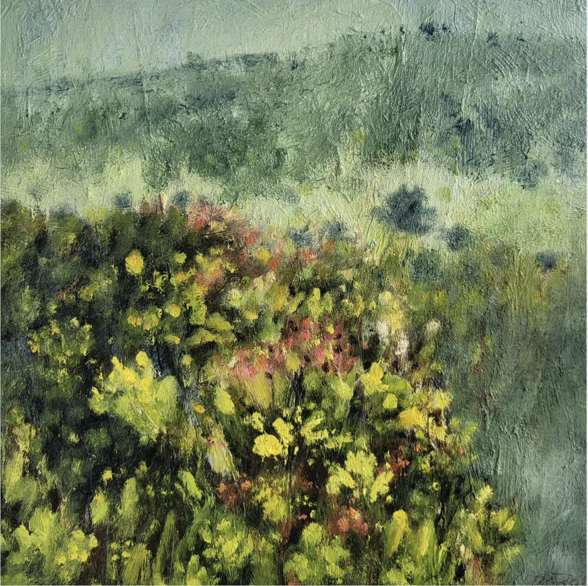 Wallum 2 2026 | Des Rolph | oil on board | 33 x 33 cm, framed | $1,300