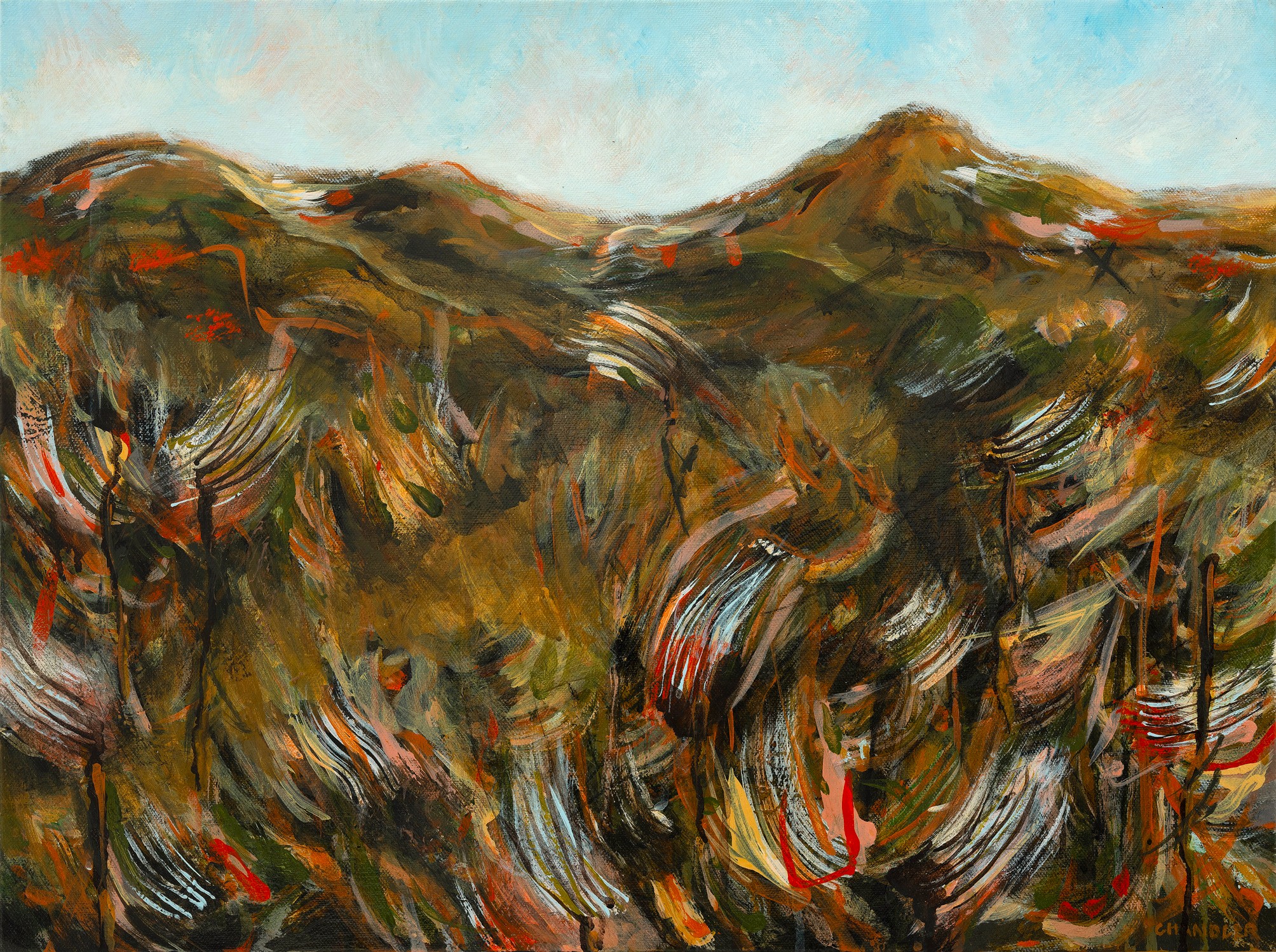 Wallum Country II 2025 | Lisa Chandler | acrylic on canvas | 46 x 61 cm | $1,300