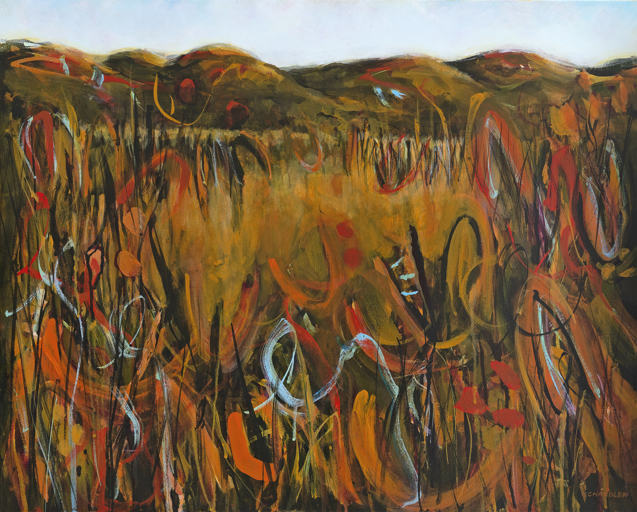 Wallum Pulse I 2026 | Lisa Chandler | acrylic on canvas | 61 x 76.5 cm | $1,500