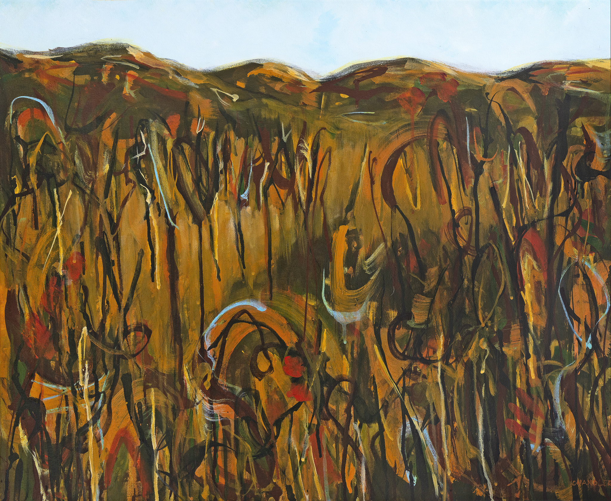 Wallum Pulse II 2026 | Lisa Chandler | acrylic on canvas | 61 x 76.5 cm | $1,500