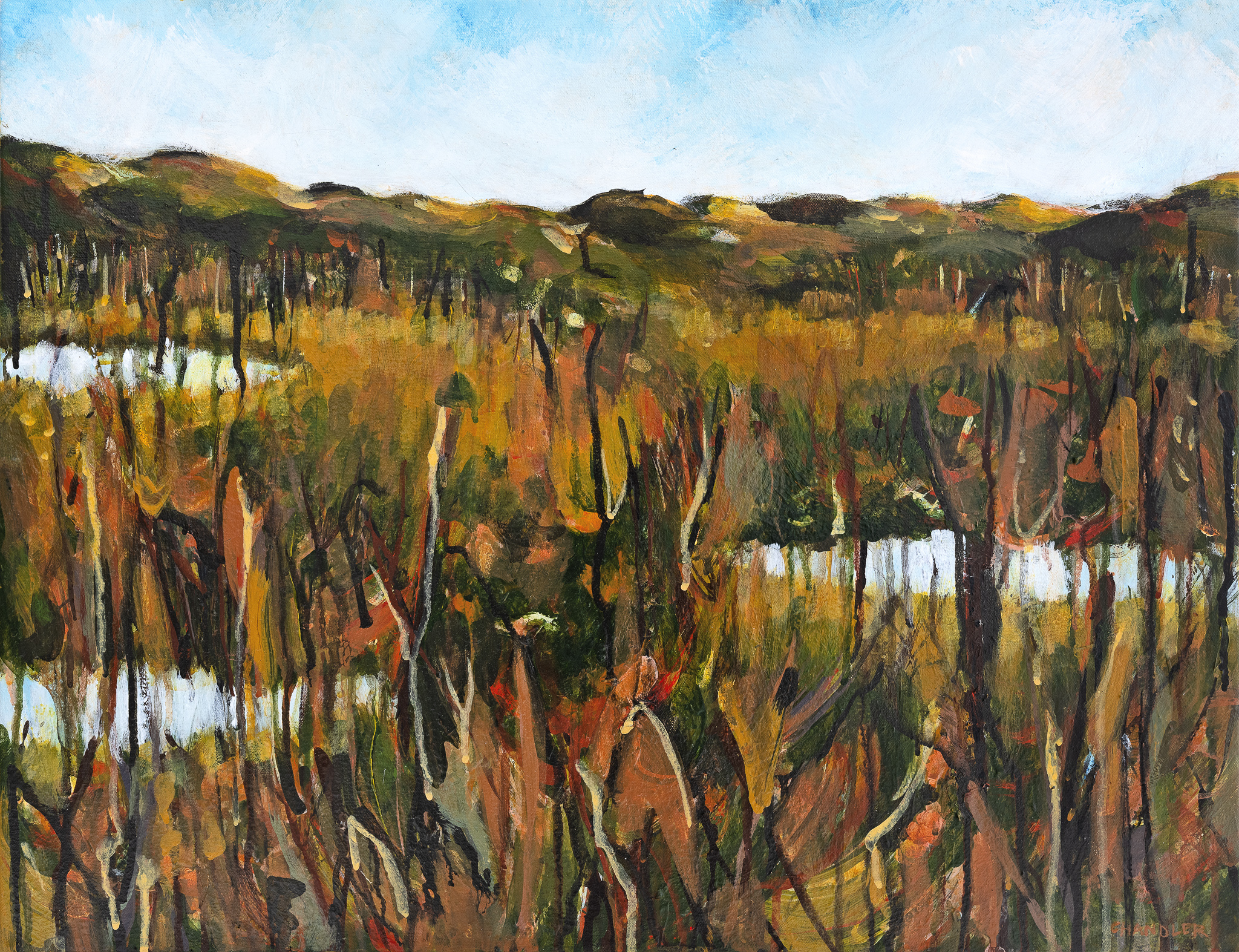Wallum Symphony I 2026 | Lisa Chandler | acrylic on canvas | 48 x 62 cm | $1,300