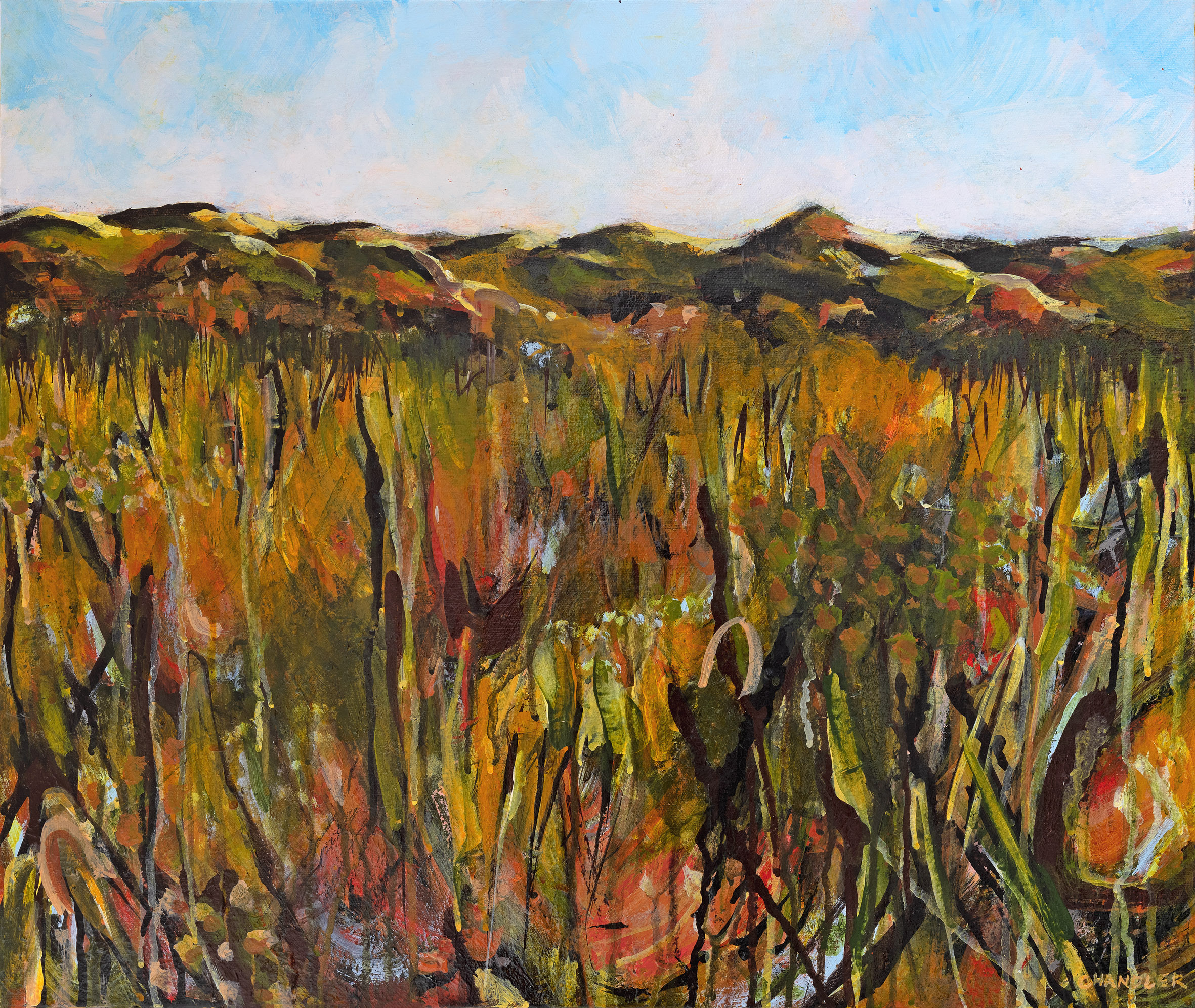 Wallum Wildflowers 2025 | Lisa Chandler | acrylic on canvas | 51 x 61 cm | $1,300