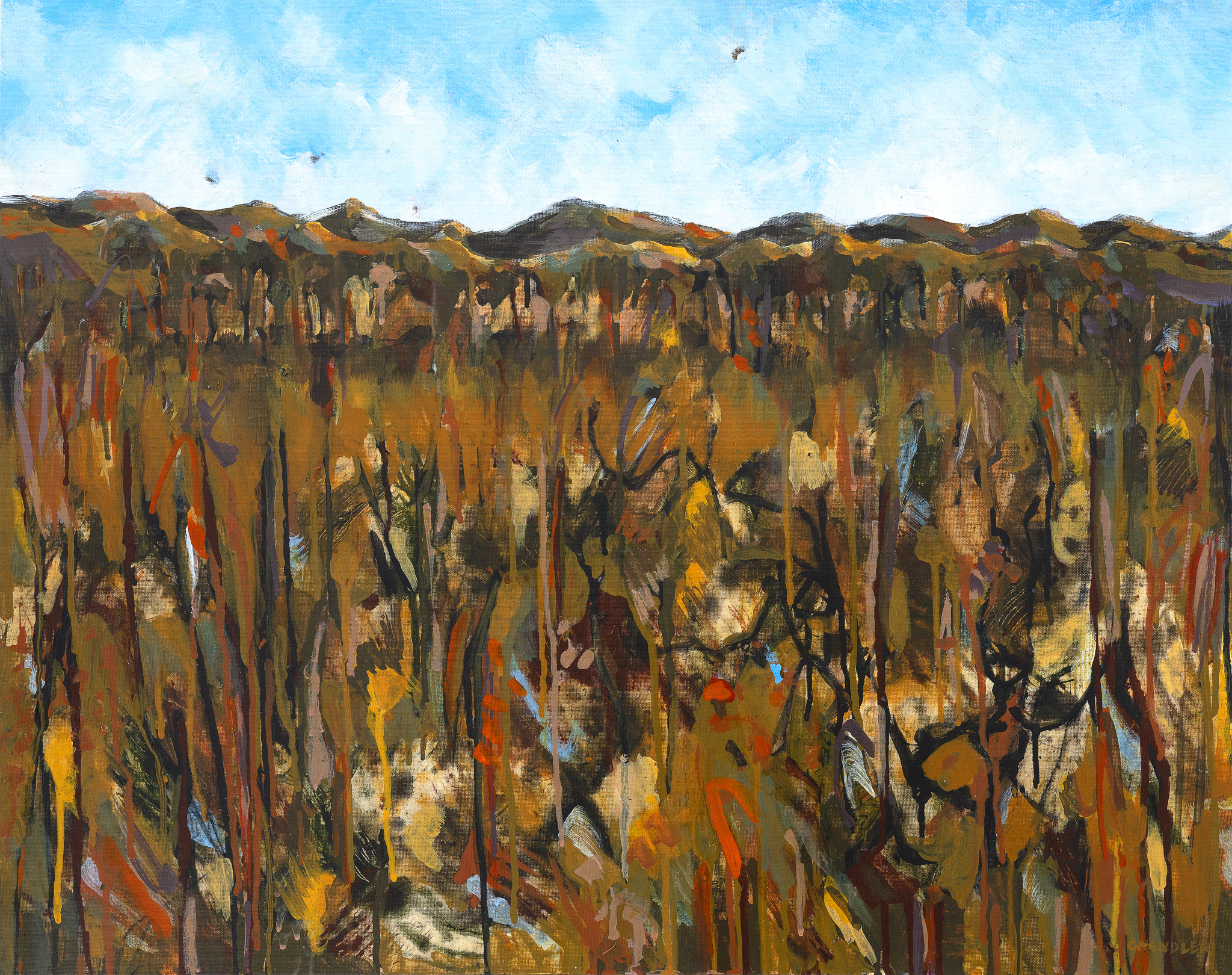 Song of the Wallum I 2025 | Lisa Chandler | acrylic on canvas | 63 x 79 cm, framed | $1,600